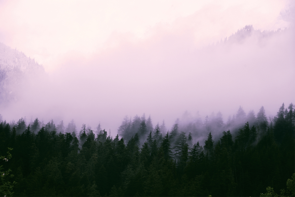 Experiencing the true sound of silence