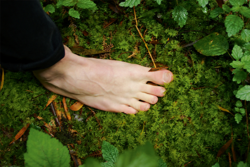 Forest bathing and finding natures pace