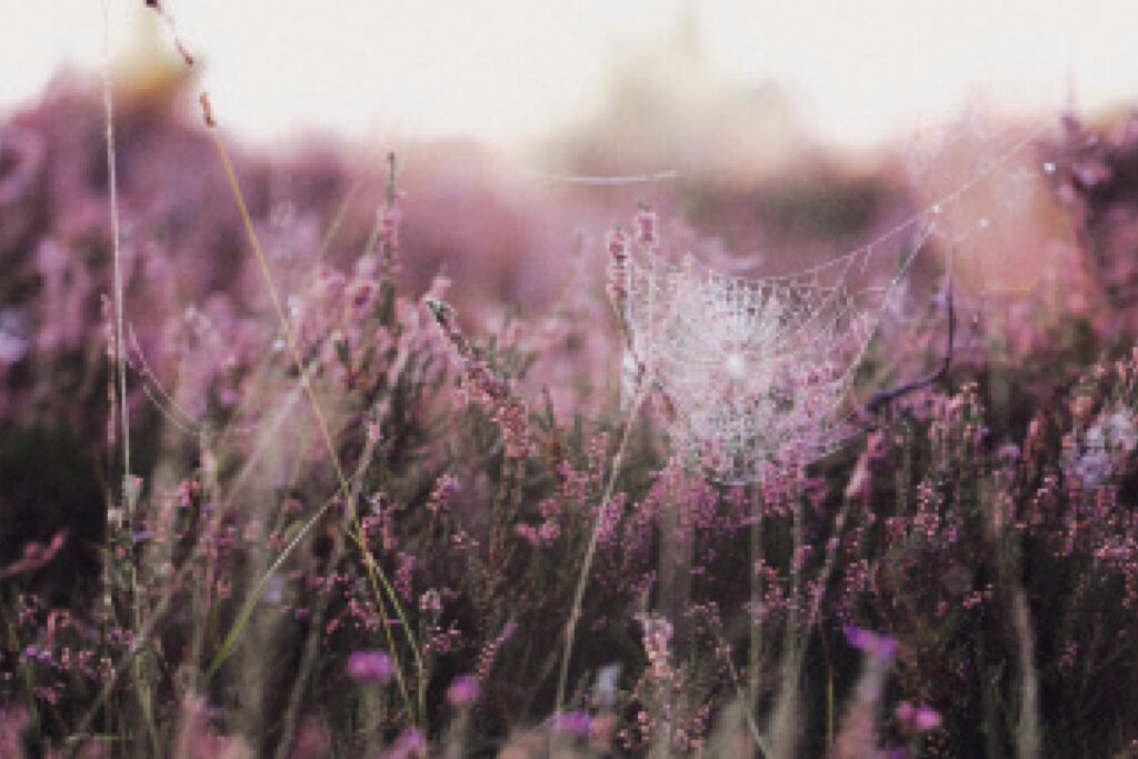 embrace change within nature