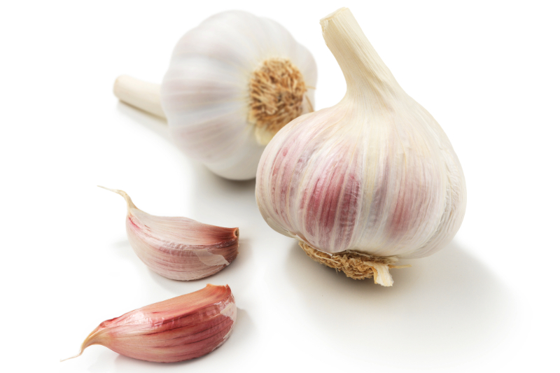 Garlic