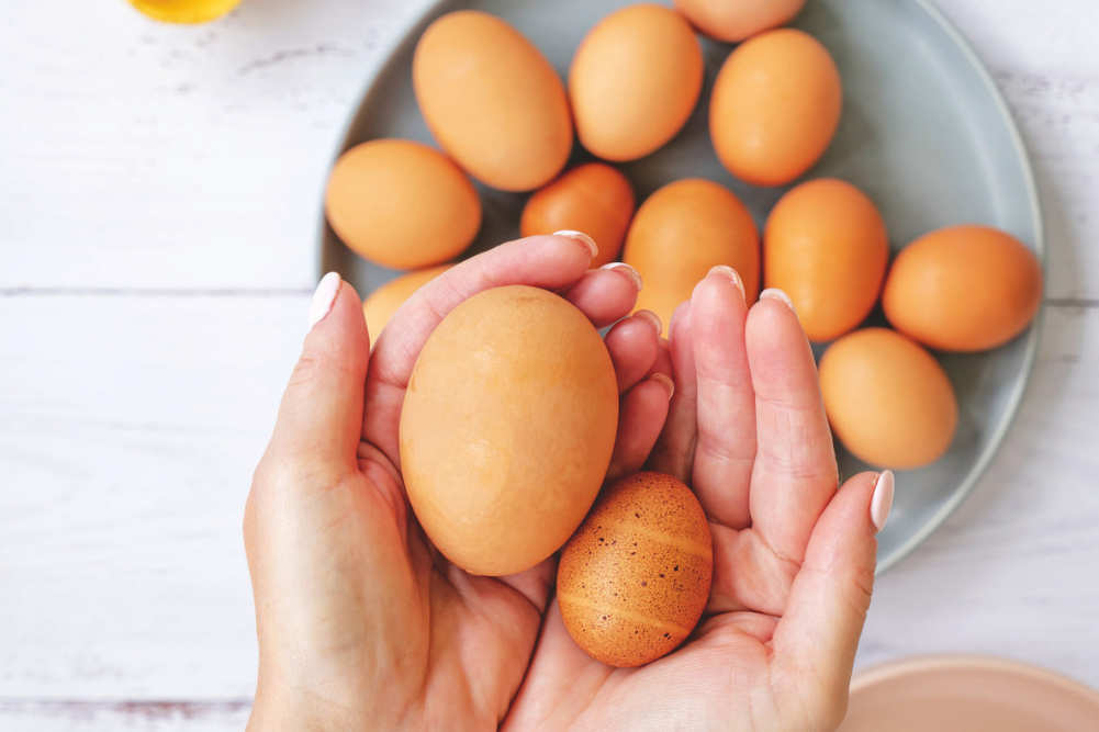 Wellbeing & Eatwell Cover Image 1001x667 2025 09 01t095528.888