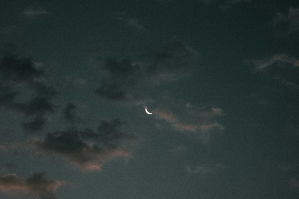 November to January horoscopes