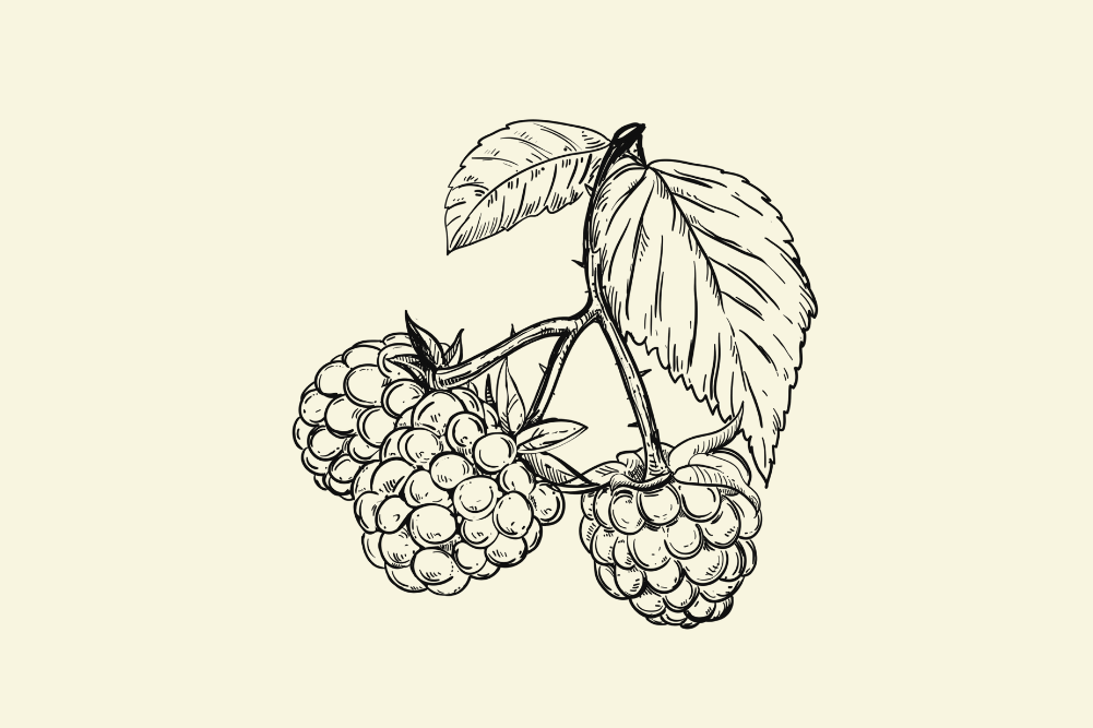 Wellbeing & Eatwell Cover Image 1001x667 (2)