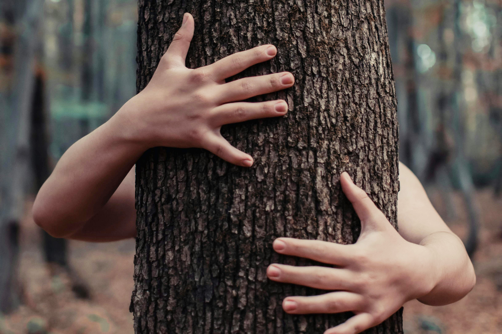 Protecting biodiversity