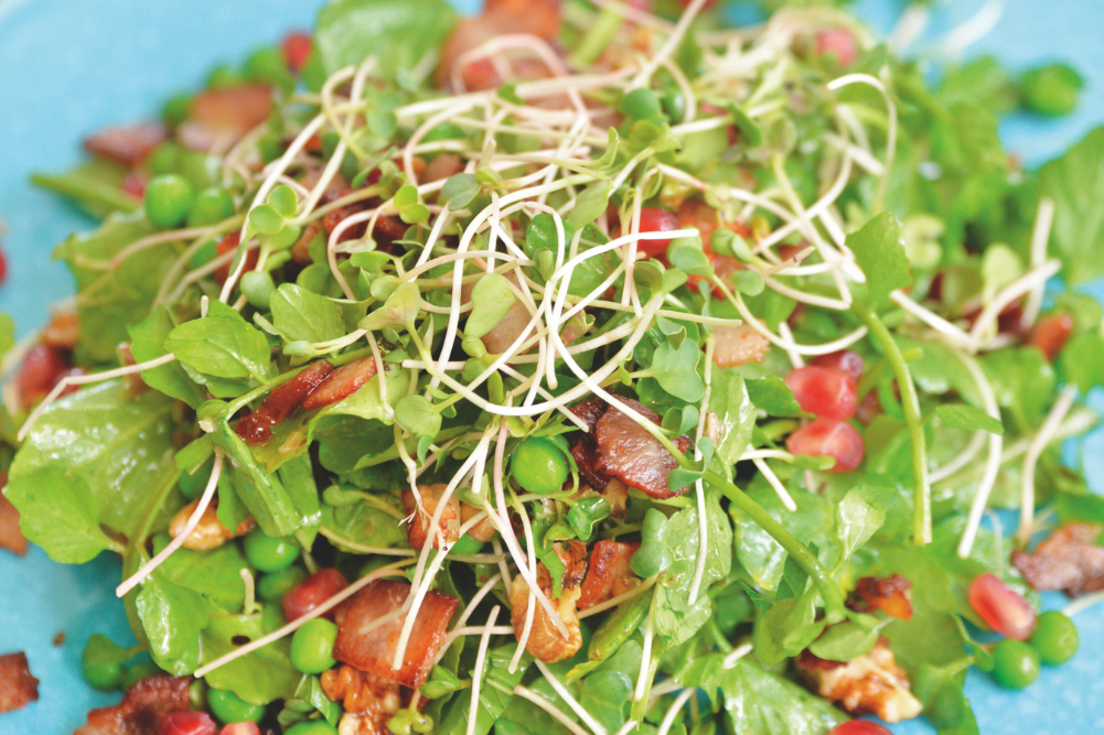 Wellbeing & Eatwell Cover Image 1001x667 (77)