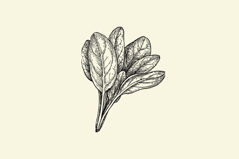 Spinach health benefits