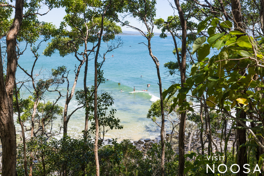 Visit Noosa