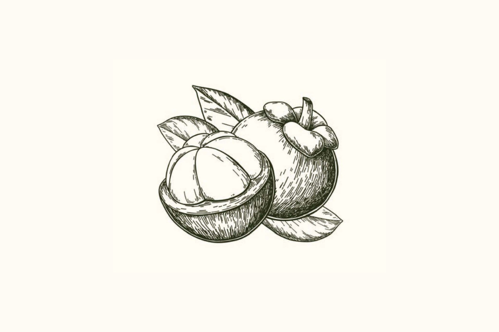 mangosteen health benefits