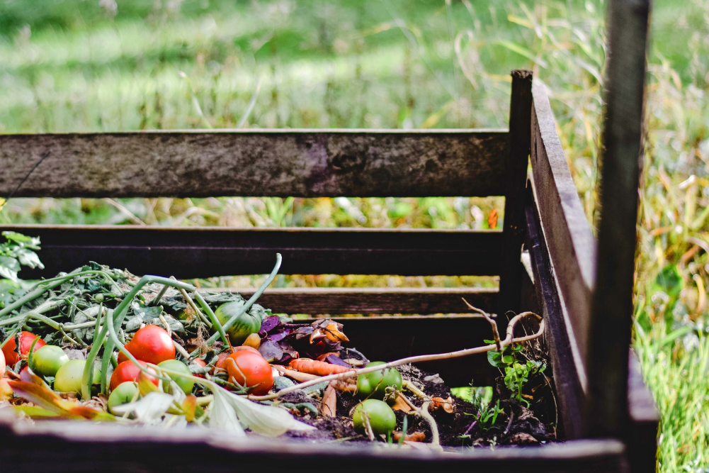 Compost Connection